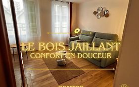 Le Bois Jaillant - Wifi - Centre ville historique - Proche Gare